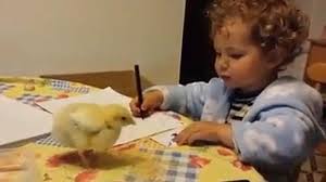‘La que has liado pollito’, uno de los videos más visto en YouTube en España