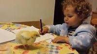 ‘La que has liado pollito’, uno de los videos más visto en YouTube en España