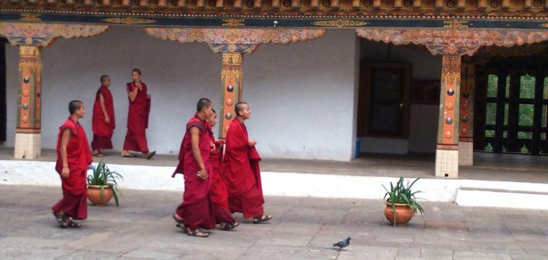  Monjes en Punakha Dzong
